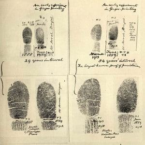 VOI update: Reading the fingerprints of real estate fraudsters image