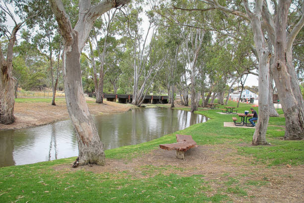 Bordertown image